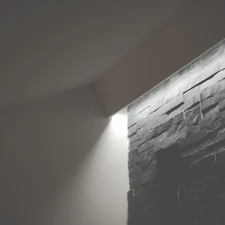 Neonero Николози